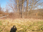 Bild - Friedland