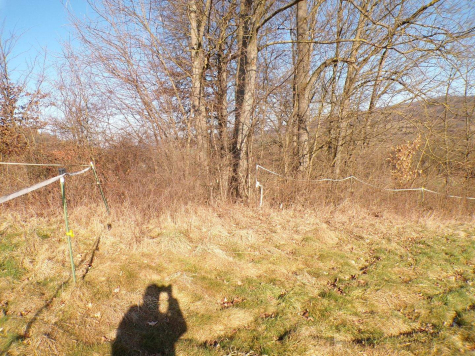 Friedland, 37133 Friedland, Grundstück