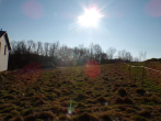 Bild - Friedland